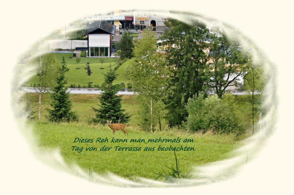 Apartment Dreier - Salzburger Land อับเทเนา ห้อง รูปภาพ