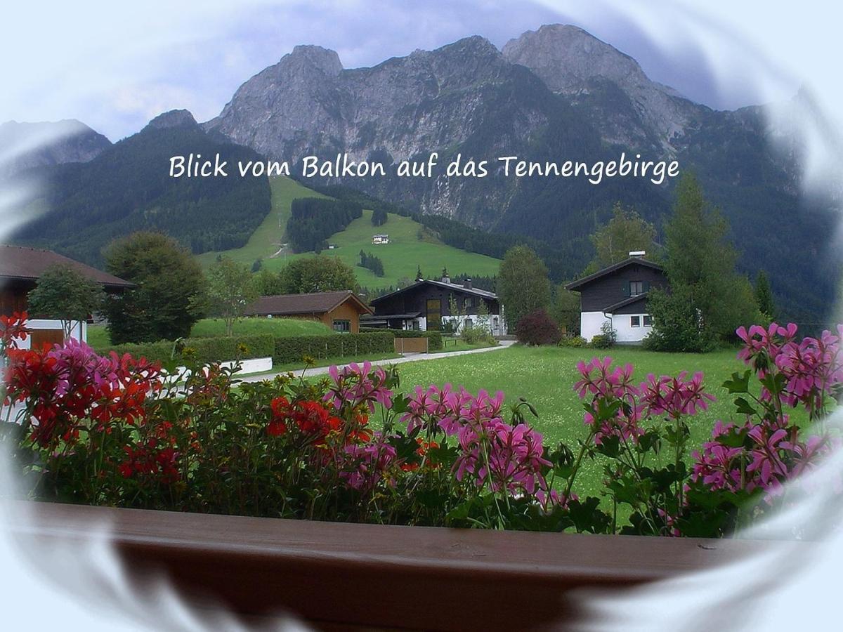 Apartment Dreier - Salzburger Land อับเทเนา ห้อง รูปภาพ